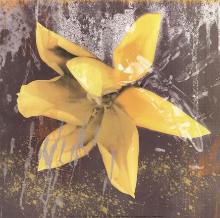 Framed Tulip Fresco (yellow) Print