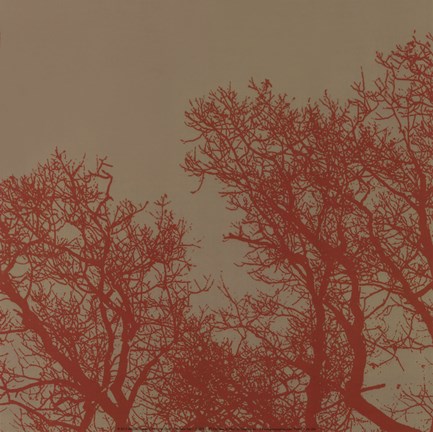 Framed Cinnamon Tree I Print