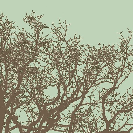 Framed Winter Tree II Print