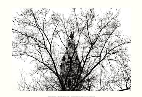 Framed City Hall (branches) Print