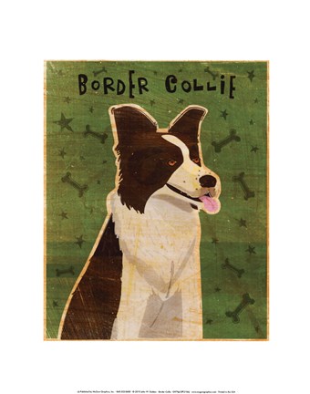 Framed Border Collie Print