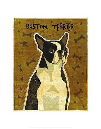 Framed Boston Terrier Print