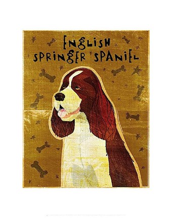Framed English Springer Spaniel Print