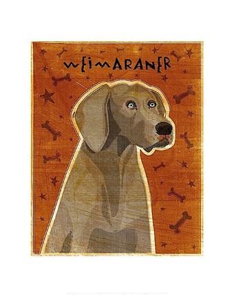 Framed Weimaraner Print