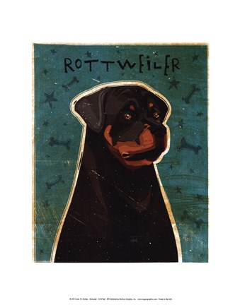 Framed Rottweiler Print