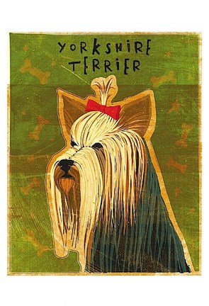 Framed Yorkshire Terrier Print