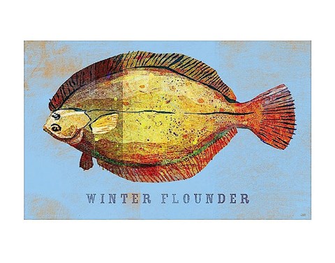 Framed Winter Flounder Print