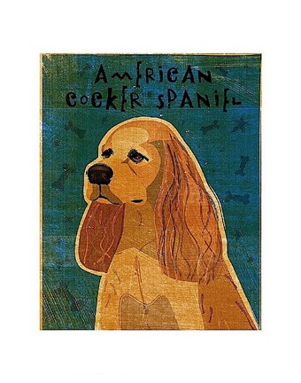 Framed American Cocker Spaniel (buff) Print