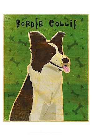 Framed Border Collie Print