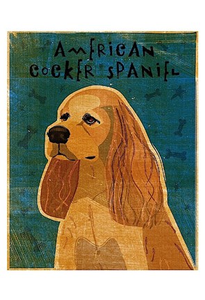 Framed American Cocker Spaniel (buff) Print