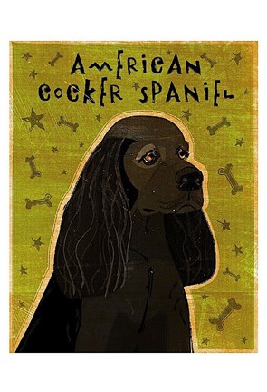 Framed American Cocker Spaniel (black) Print