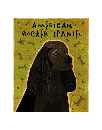 Framed American Cocker Spaniel (black) Print