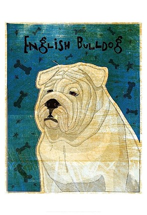 Framed English Bulldog Print