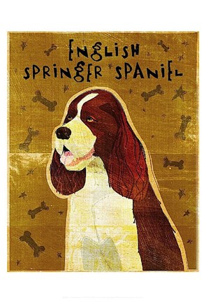 Framed English Springer Spaniel Print
