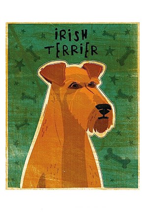Framed Irish Terrier Print