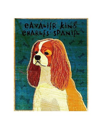 Framed Cavalier King Charles (Blenheim) Print