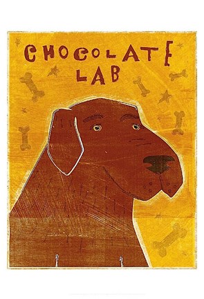 Framed Lab (chocolate) Print