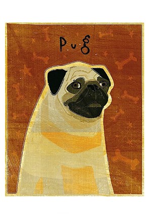 Framed Pug Print
