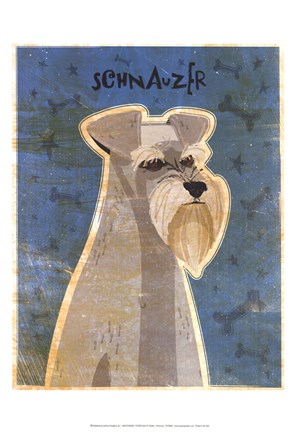 Framed Schnauzer Print