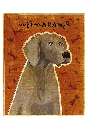 Framed Weimaraner Print