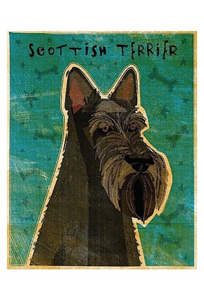 Framed Scottish Terrier Print