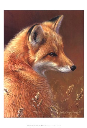 Framed Curious- Red Fox Print