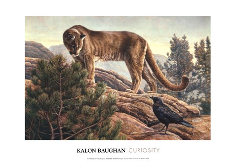 Framed Curiosity Print