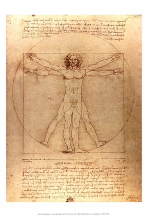 Framed Vitruvian Man Print
