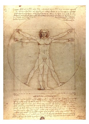 Framed Vitruvian Man Print