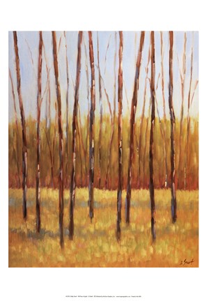 Framed Tall Trees II (right) Print