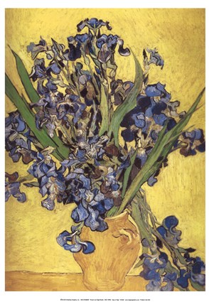 Framed Irises in Vase Print