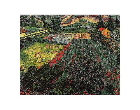 Framed Field of Poppies, Saint-Remy, c. 1889 Print