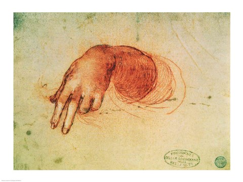 Framed Study of a hand Print