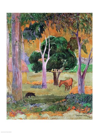 Framed Dominican Landscape Print