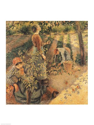 Framed Apple Pickers, 1886 Print