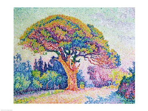 Framed Pine Tree at St. Tropez, 1909 Print