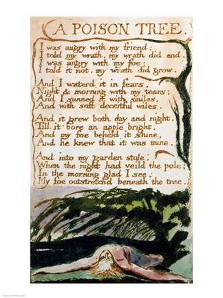 Framed Poison Tree, from Songs of Experience Print