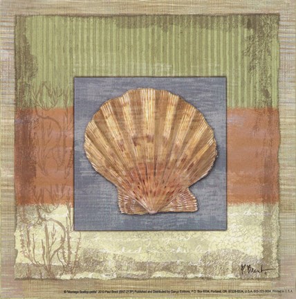 Framed Montego Scallop- petite Print