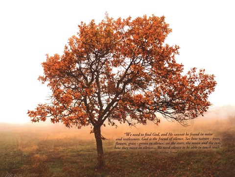 Framed Silent Oak Print