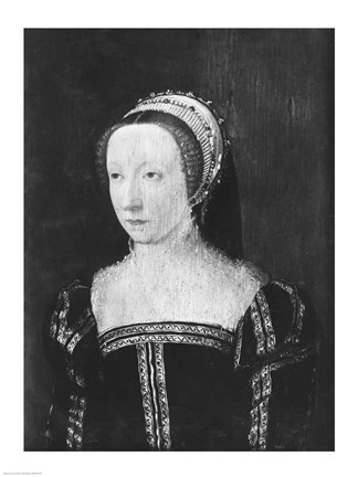 Framed Princess of Conde, 1550 Print