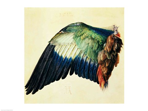 Framed Wing of a Blue Roller, 1512 Print