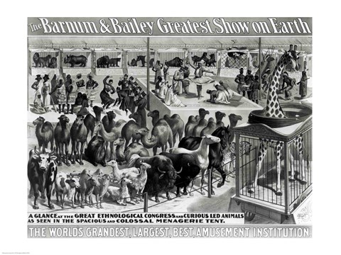 Framed &#39;The Barnum and Bailey Greatest Show On Earth&#39; Curious Animals Print