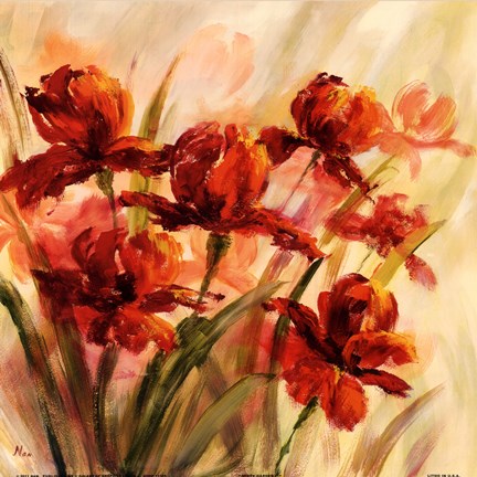 Framed Misty Garden I Print