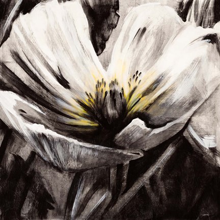 Framed Light &amp; Shadow Print