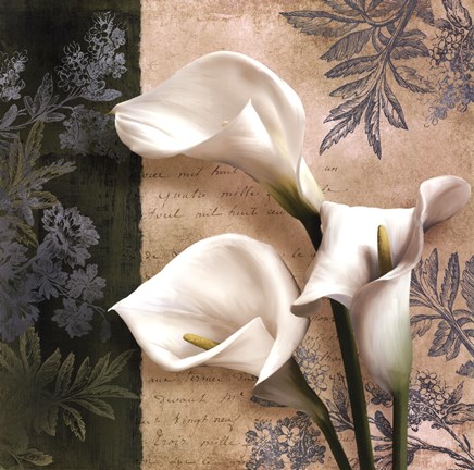 Framed Lily Fair Print