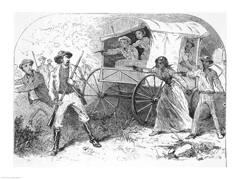 Framed Bold Stroke for Freedom Print