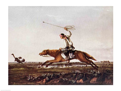 Framed Balling Ostriches Print