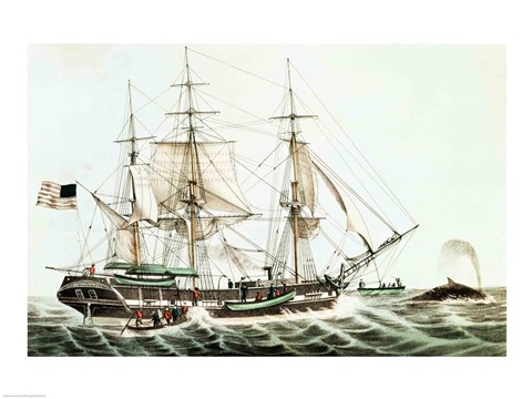 Framed American Whaler Print