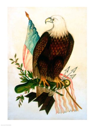 Framed Bald eagle with flag Print