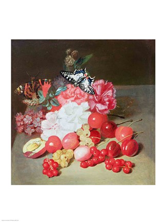 Framed Still Life with Butterflies Print